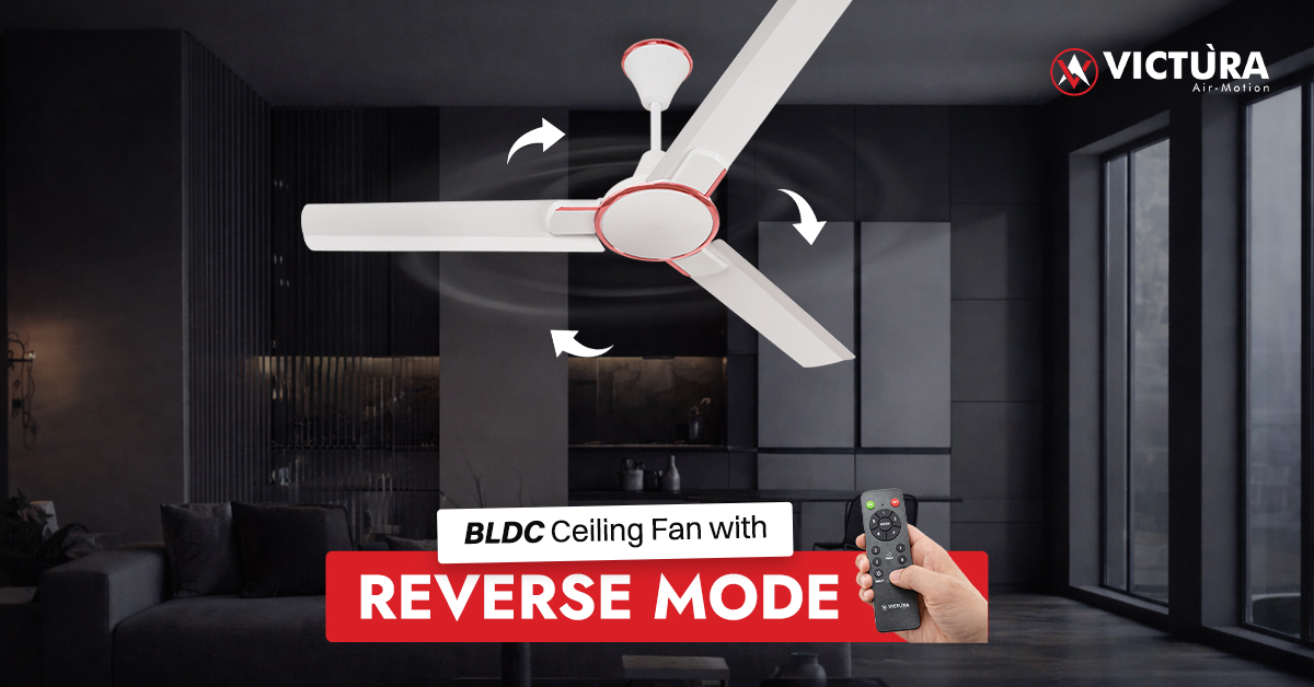 Reverse Rotation ceiling fans