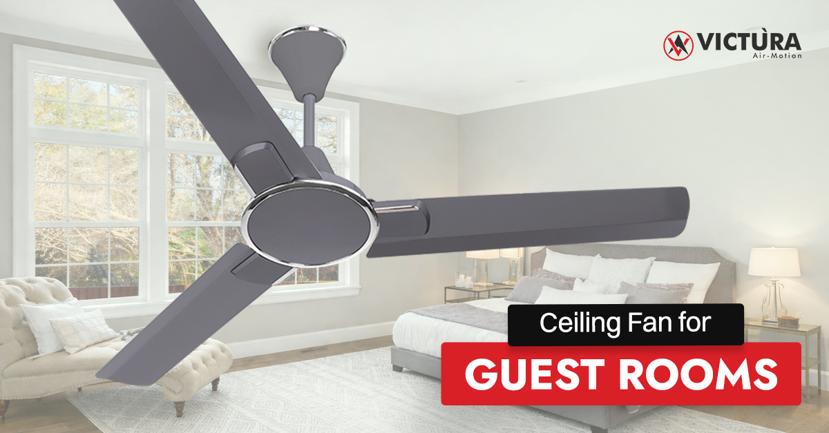 ceiling fan for guest rooms